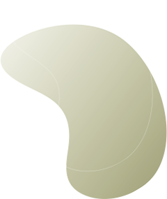 https://israglobal.net/wp-content/uploads/2020/08/floating_image_08.png